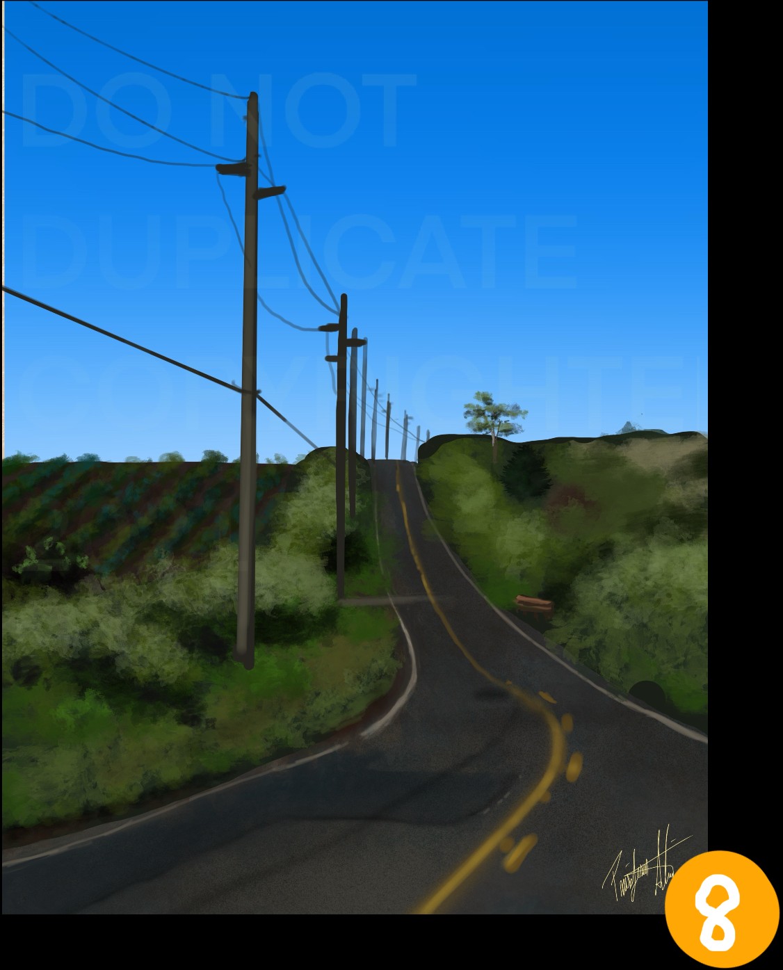 The Roads of Hawai‘i · No. 8