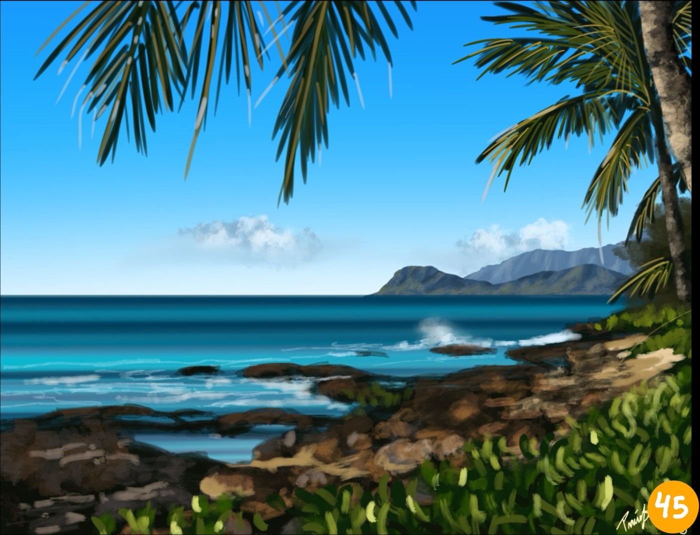 Scenery of Hawai‘i · No. 45