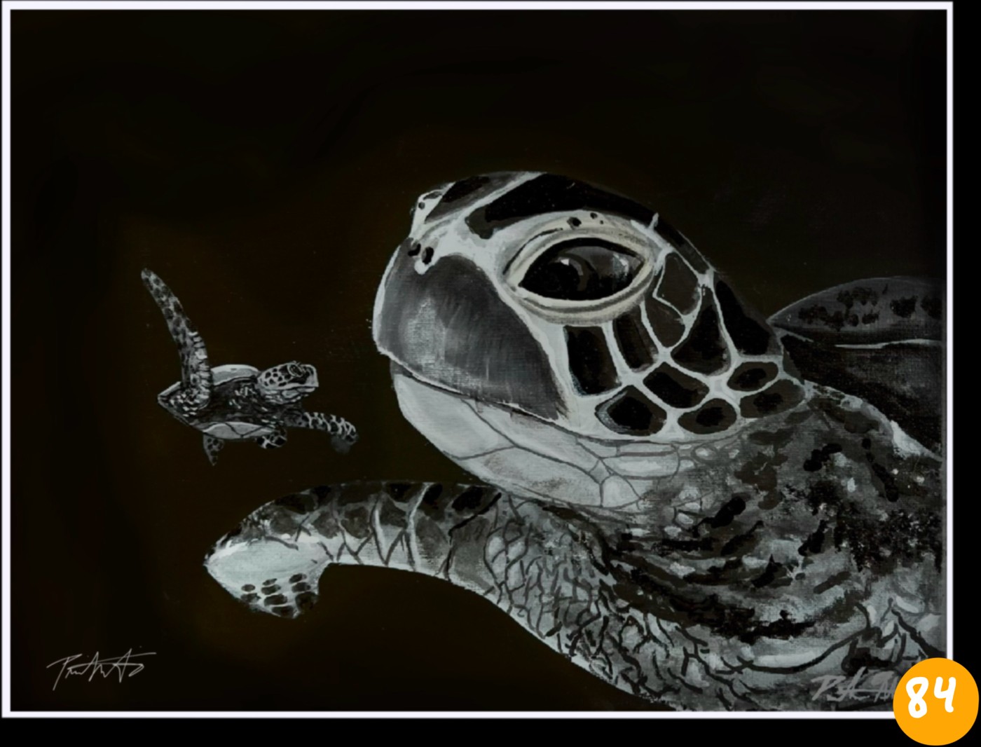 Sea Life of Hawai‘i · No. 84