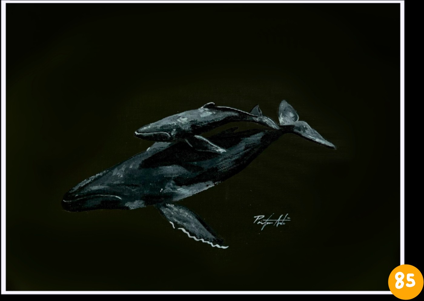Sea Life of Hawai‘i · No. 85