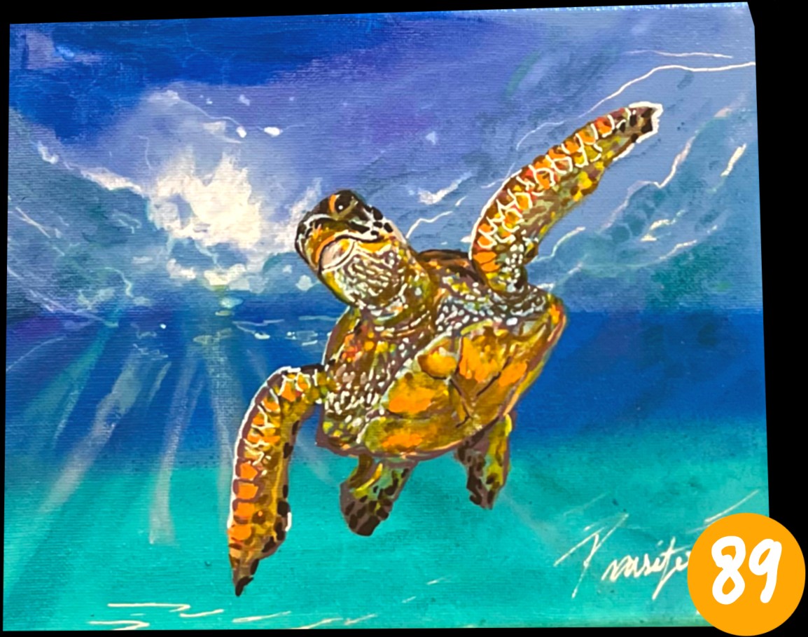 Sea Life of Hawai‘i · No. 89