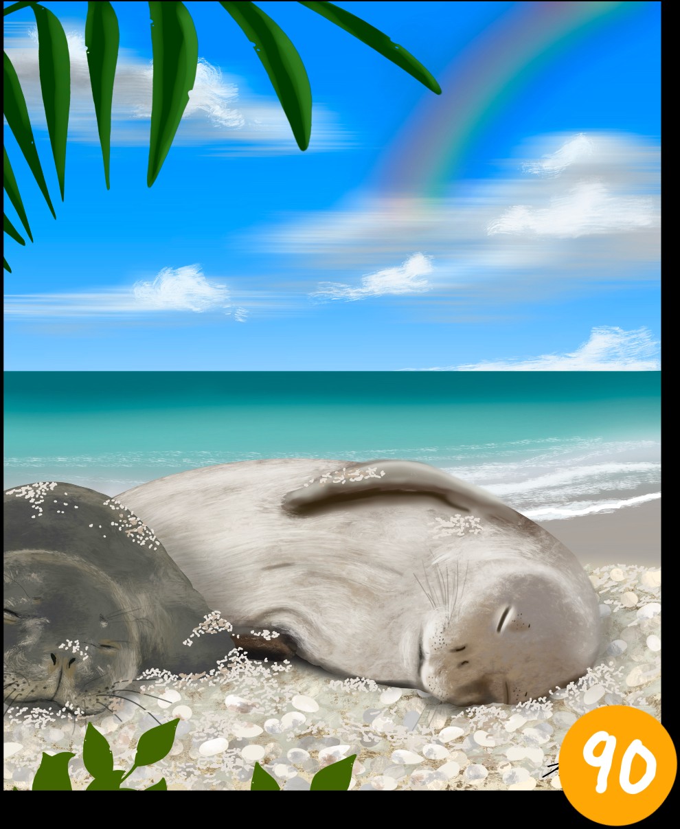 Sea Life of Hawai‘i · No. 90